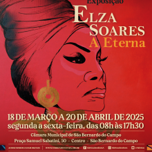 Arte - Elza Soares